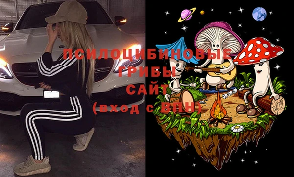 соль ск Новозыбков