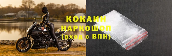 соль ск Новозыбков