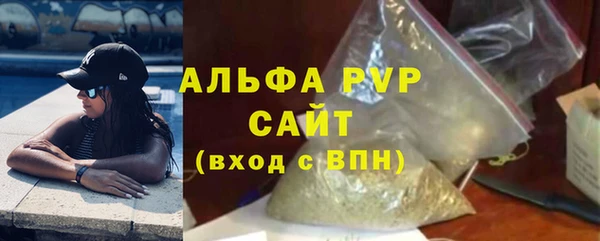 соль ск Новозыбков