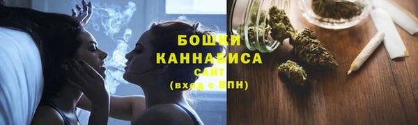 соль ск Новозыбков