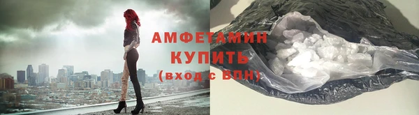 соль ск Новозыбков