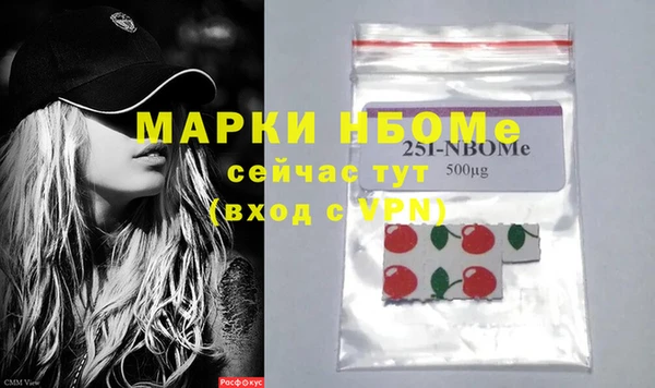 соль ск Новозыбков