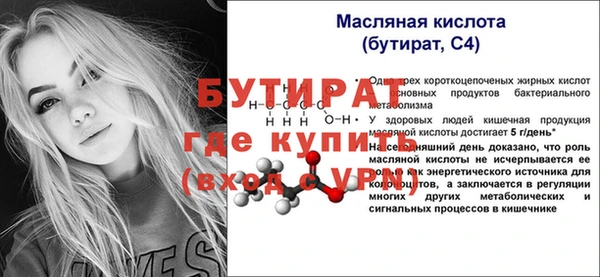 индика Апатиты