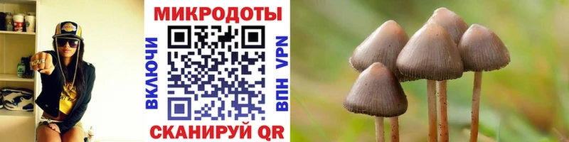 Галлюциногенные грибы MAGIC MUSHROOMS  Разумное 